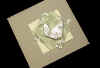 0310GreenCraneCollage.jpg (43218 bytes)